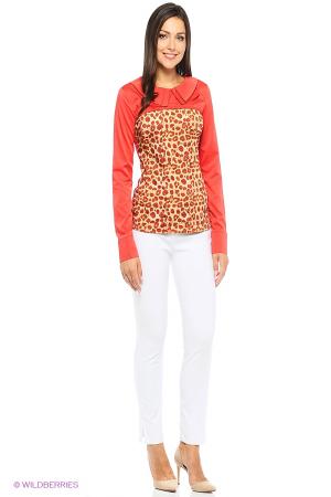 Блузка Shelter