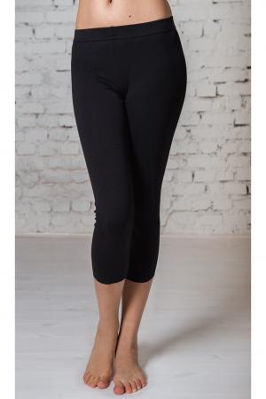 Бриджи  -  цвет