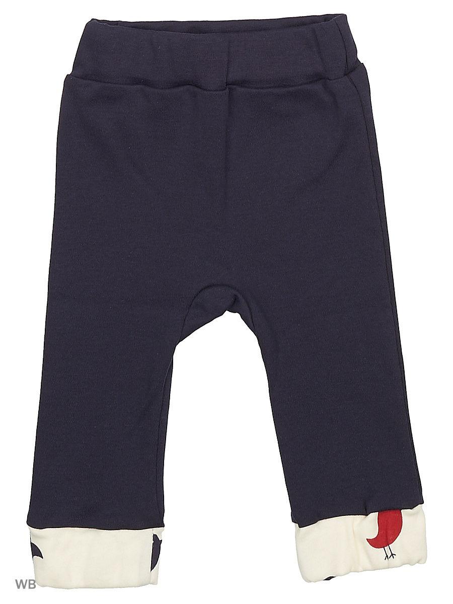 Брюки  -  цвет