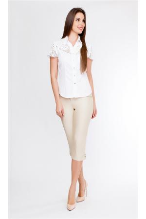 Бриджи  -  цвет