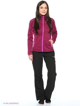 Брюки Alpine PRO