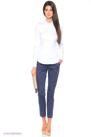 Брюки  -  цвет