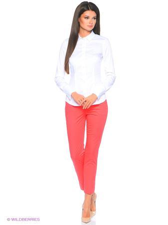 Брюки Pantaloni Torino