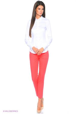 Брюки  -  цвет