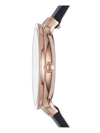 Часы SKAGEN