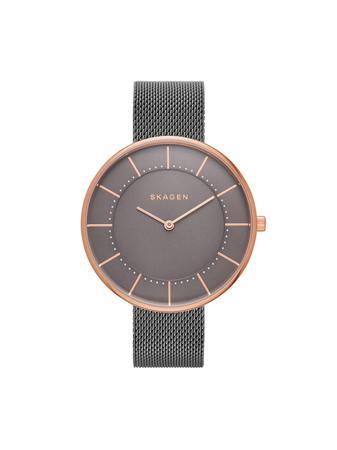 Часы SKAGEN