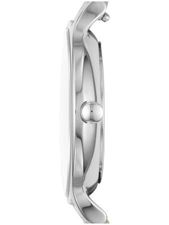 Часы SKAGEN