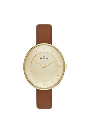 Часы SKAGEN