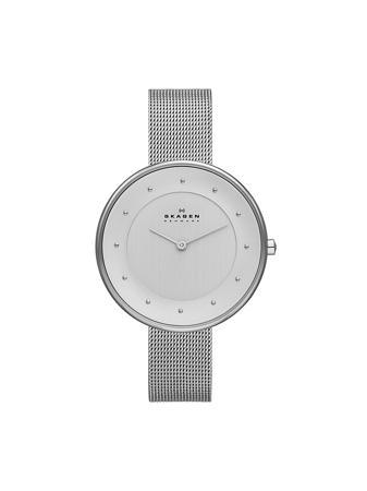 Часы SKAGEN