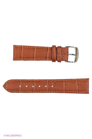 Ремень  - черный цвет