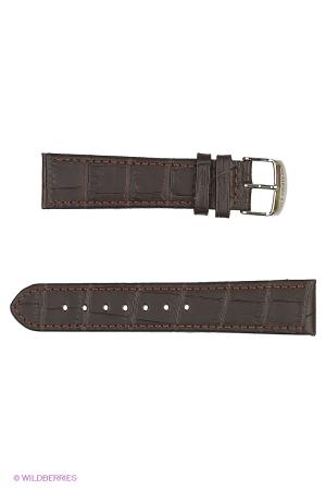 Ремень  - черный цвет