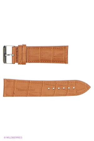 Ремень  - черный цвет