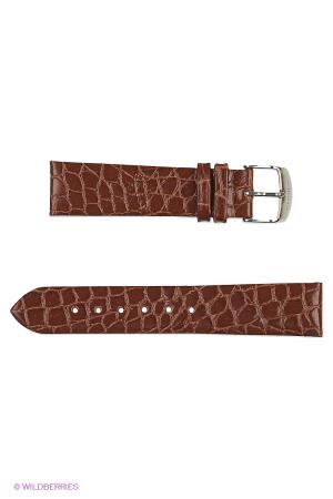 Ремень  - черный цвет