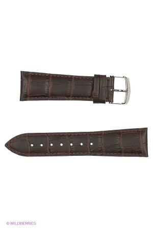 Ремень  - черный цвет