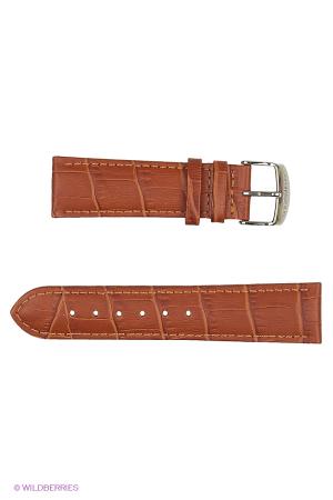 Ремень  - черный цвет