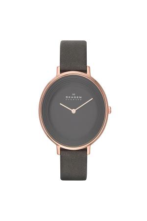 Часы SKAGEN