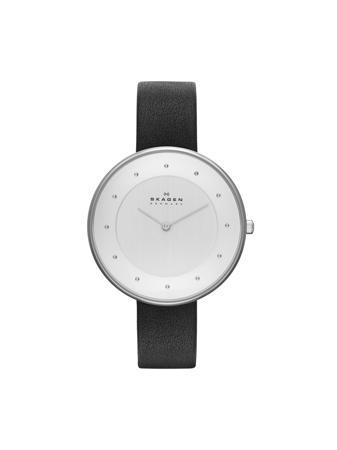 Часы SKAGEN