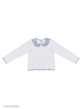 Джемпер Goldy