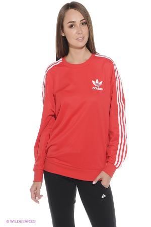 Джемпер Adidas