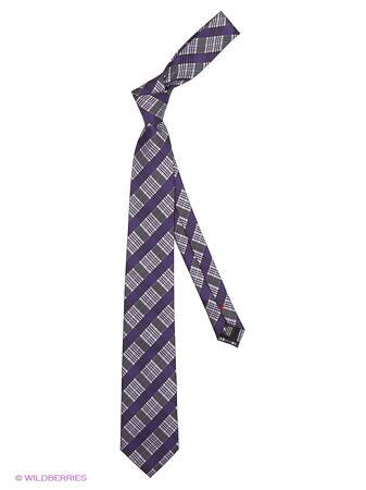 Галстук Alex DANDY