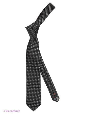 Галстук Alex DANDY