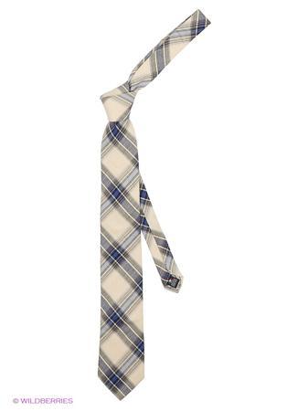 Галстук Alex DANDY