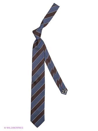 Галстук Alex DANDY