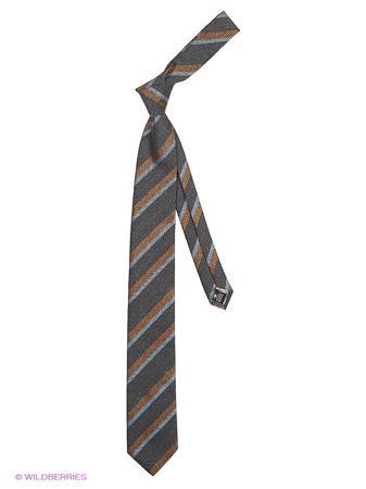 Галстук Alex DANDY