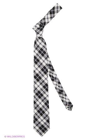 Галстук Alex DANDY