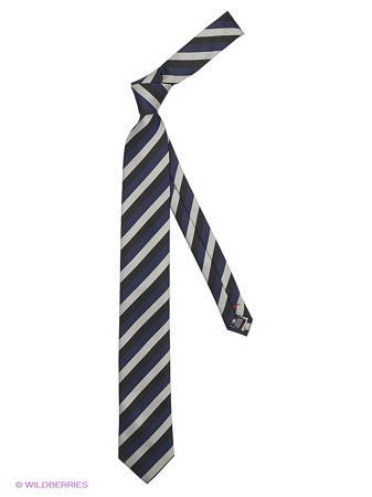 Галстук Alex DANDY