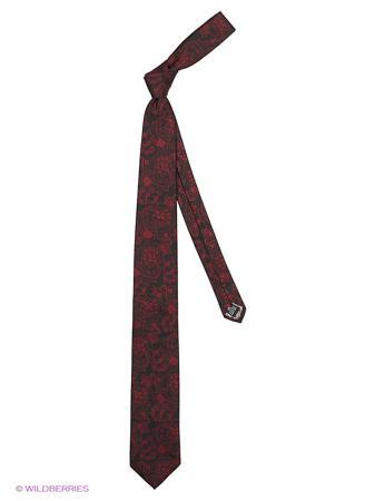 Галстук Alex DANDY