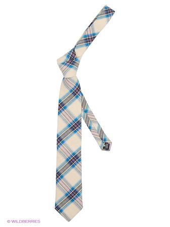 Галстук Alex DANDY