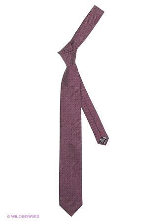 Галстук Alex DANDY