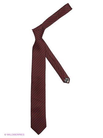 Галстук Alex DANDY