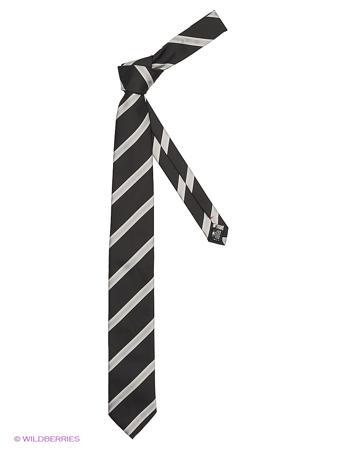 Галстук Alex DANDY