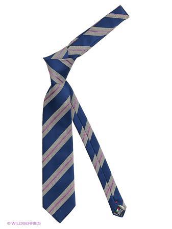 Галстук Alex DANDY