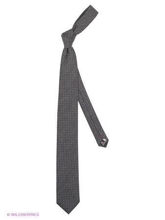 Галстук Alex DANDY