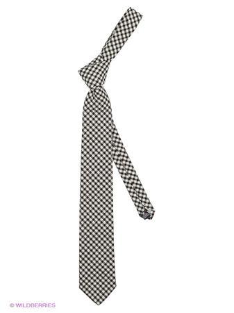 Галстук Alex DANDY