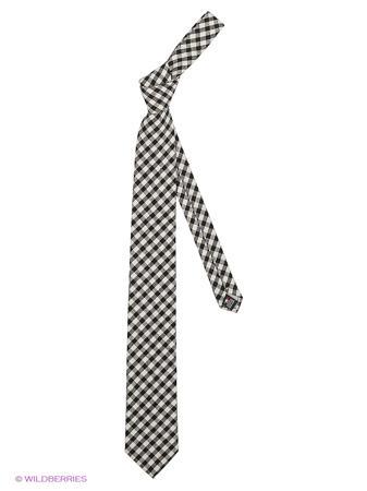 Галстук Alex DANDY