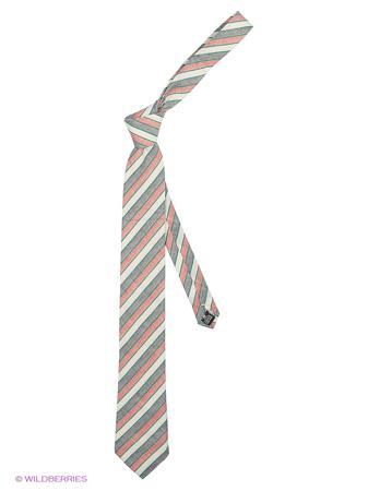 Галстук Alex DANDY