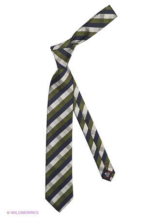 Галстук Alex DANDY