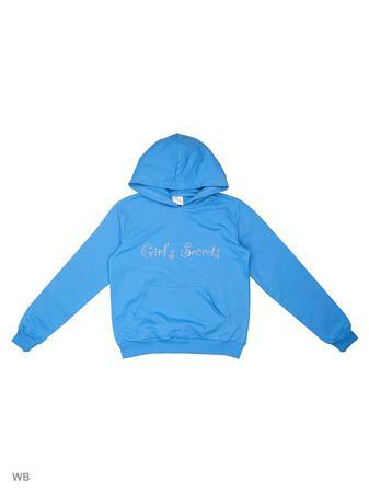 Худи Felis Chaus