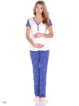 Комплект FEST