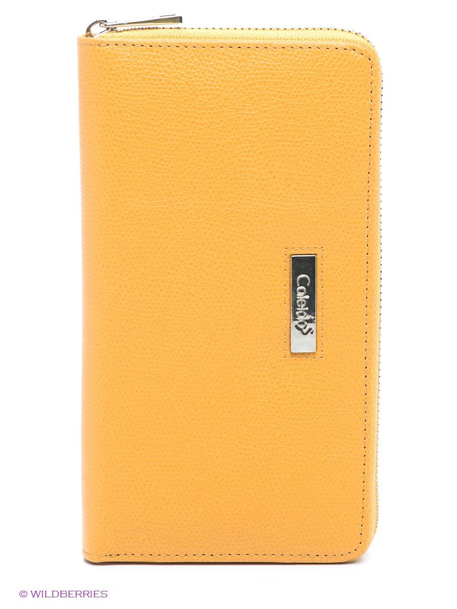Кошелек  -  цвет
