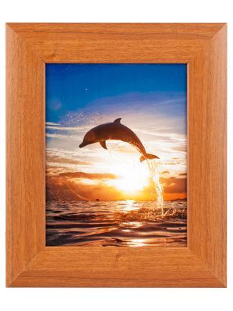 Кошелек Aztek