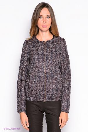 Куртка American Outfitters