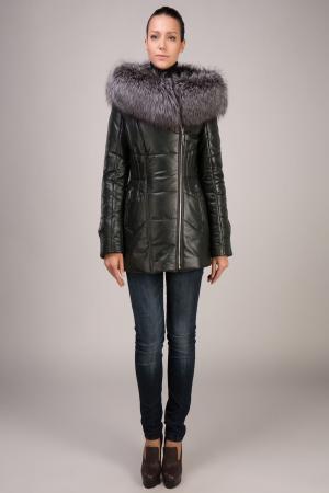 Куртка OSTRICH