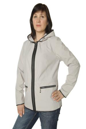 Ветровка  -  цвет