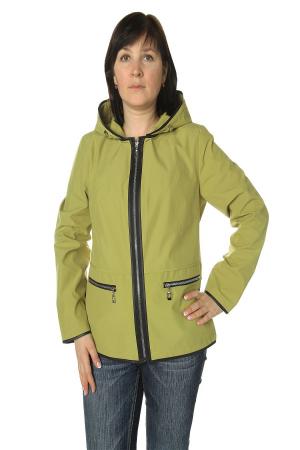 Ветровка  -  цвет