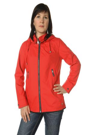 Ветровка  -  цвет